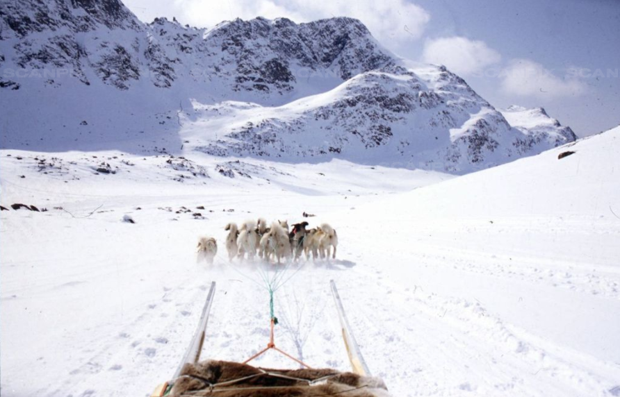 Joergen Jessen Nf Nf Ritzau Scanpix Slaedehunde